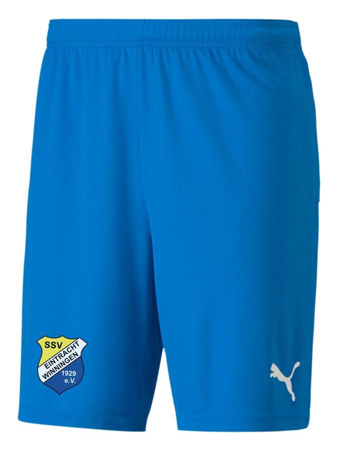 PUMA teamGOAL 23 Knit Shorts