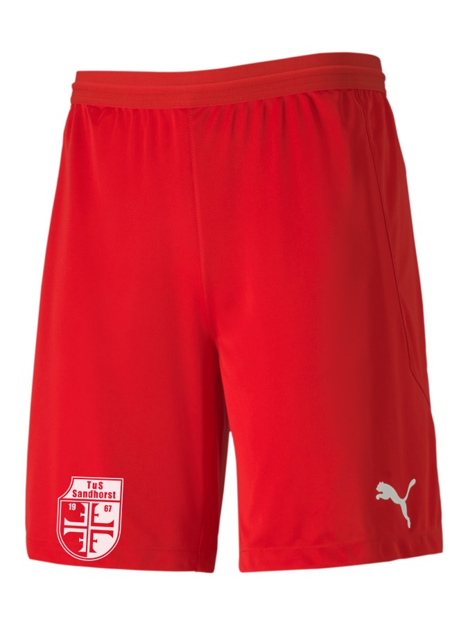 PUMA teamFINAL 21 Knit Shorts