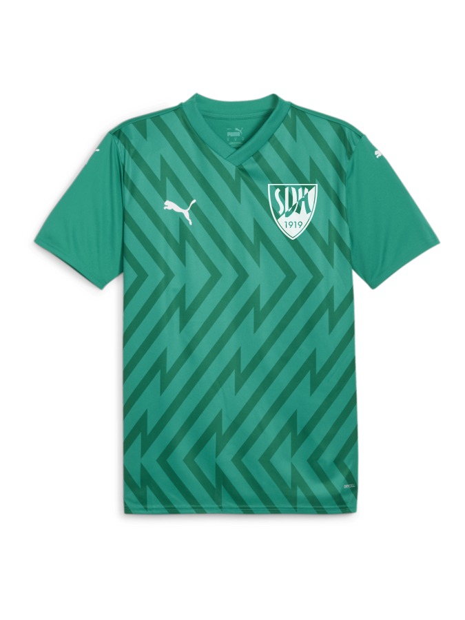 PUMA teamGLORY Trikot