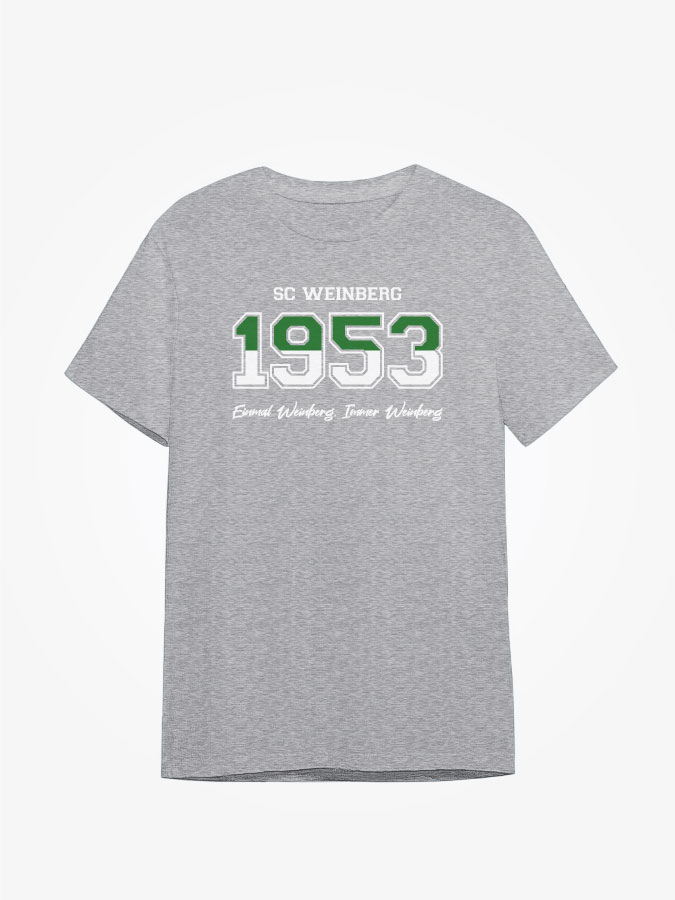 Shirt Established Kids