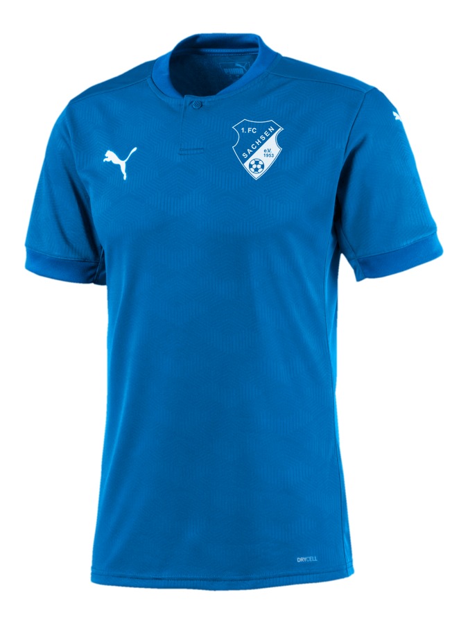 PUMA teamFINAL 21 Trikot