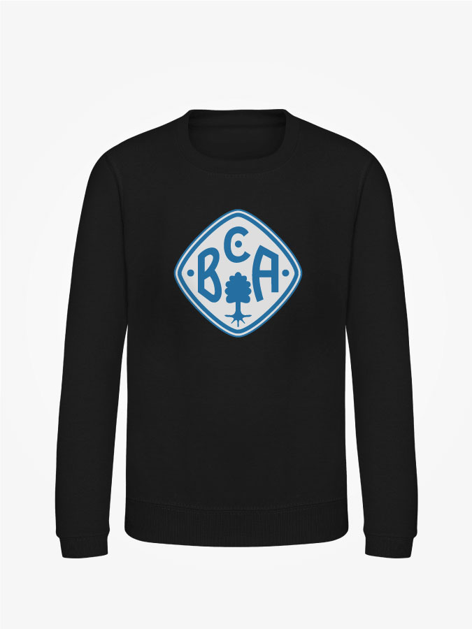 Sweatshirt Classic Kids