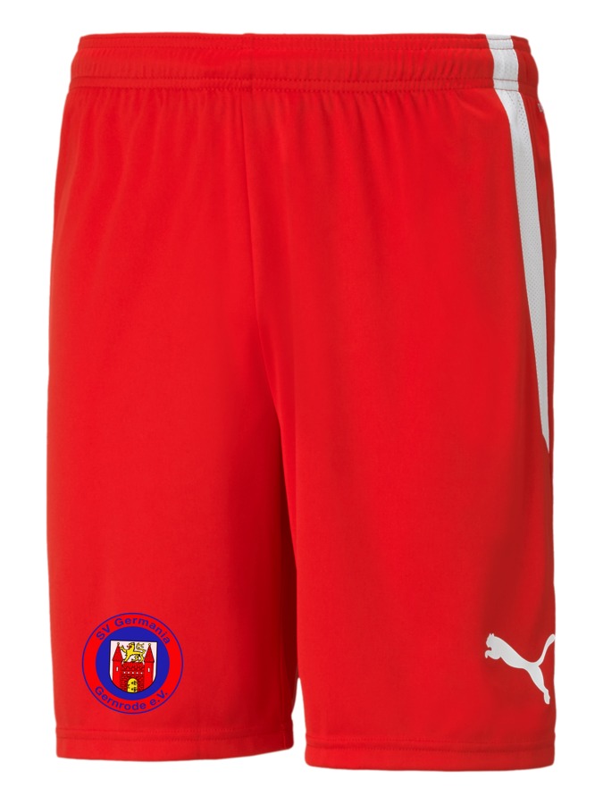 PUMA teamLIGA Shorts