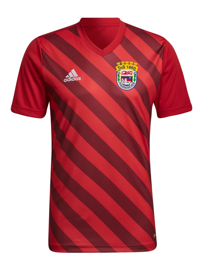 adidas Entrada 22 GFX Trikot