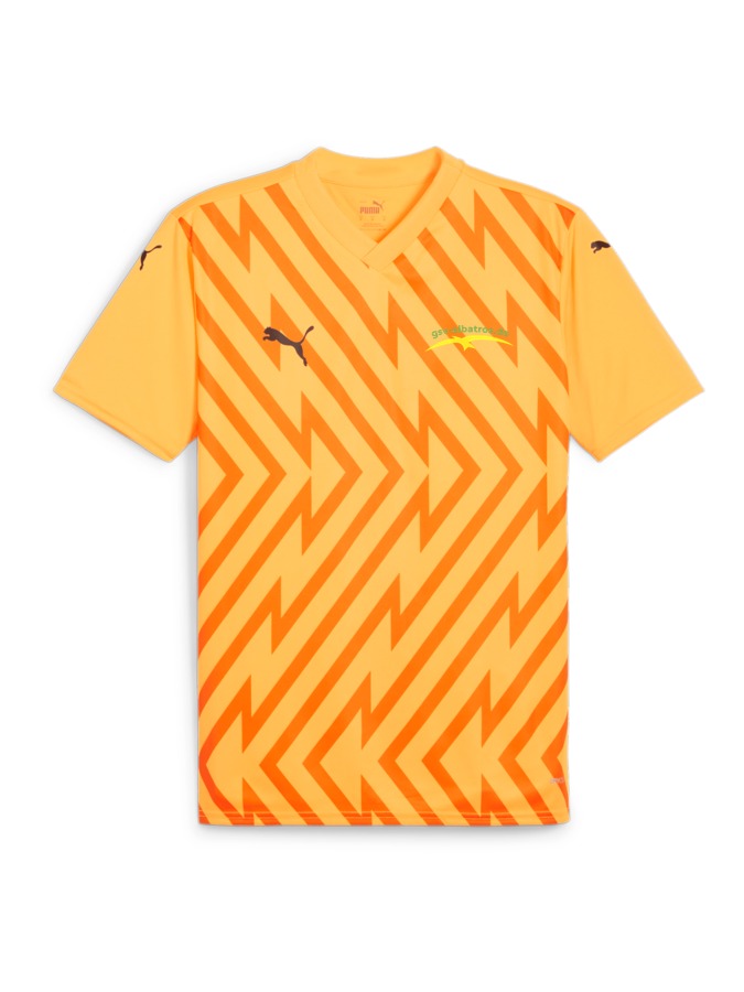 PUMA teamGLORY Trikot