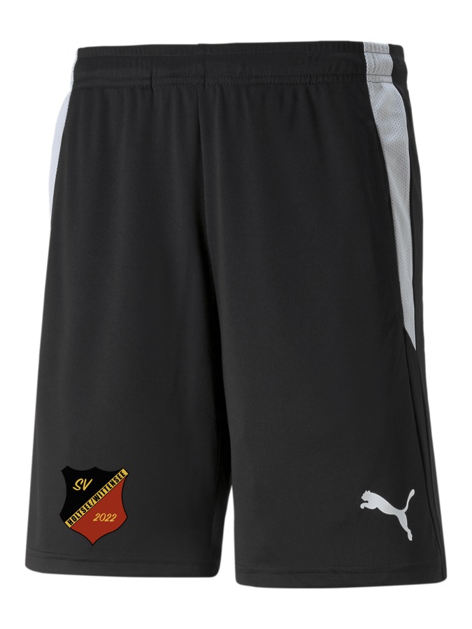 PUMA teamLIGA Referee Shorts