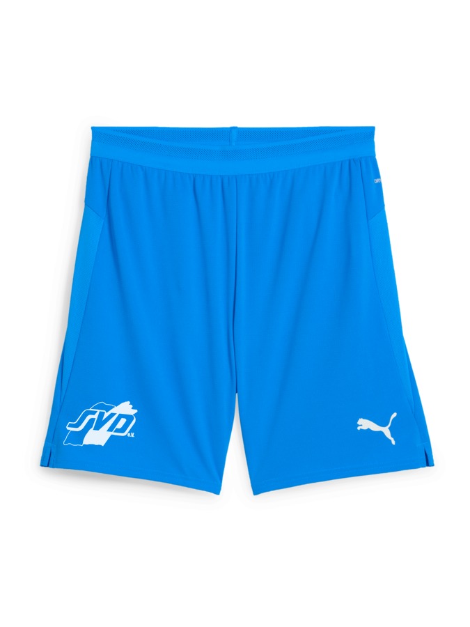 PUMA teamCUP Shorts