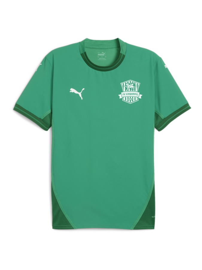 PUMA teamFINAL Trikot