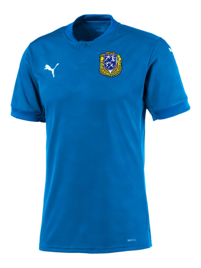 PUMA teamFINAL 21 Trikot