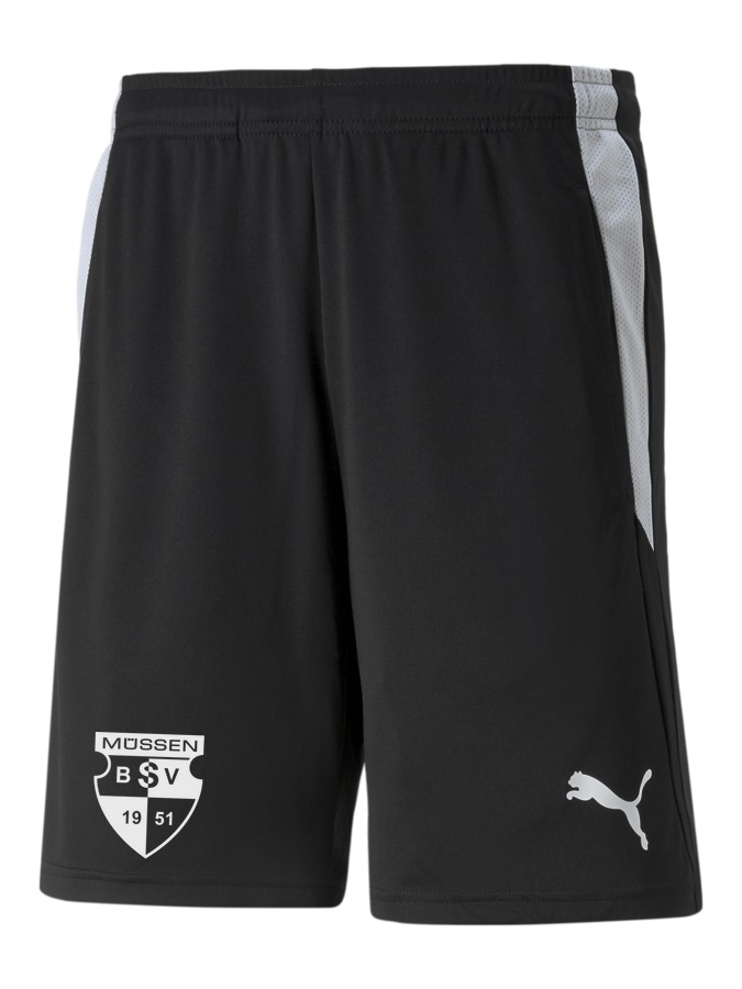 PUMA teamLIGA Referee Shorts