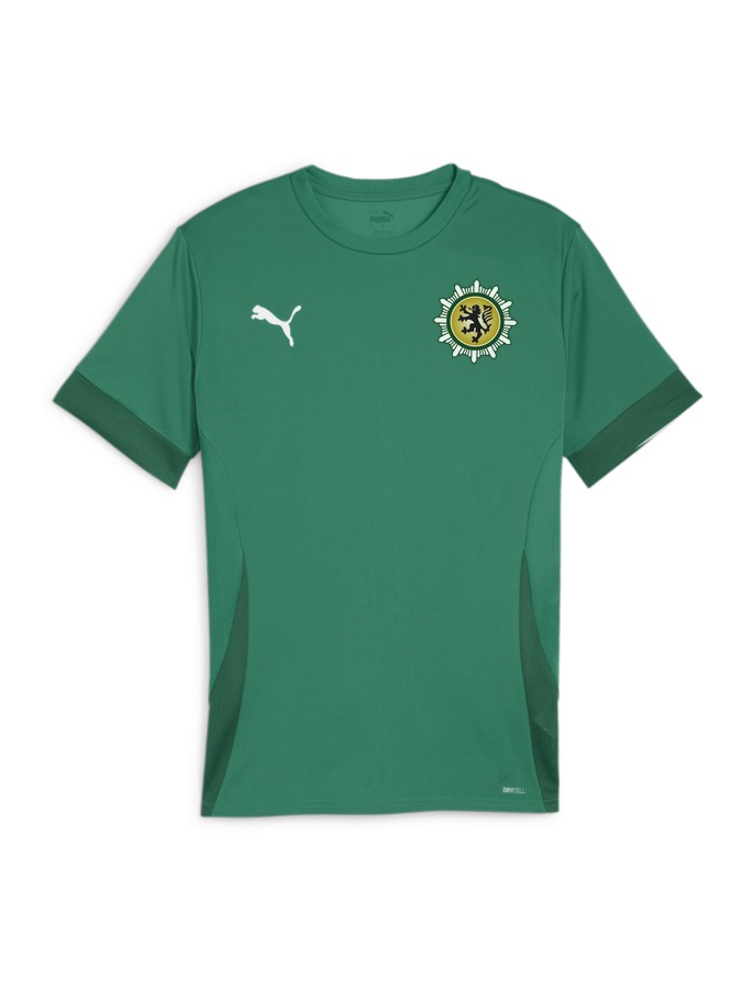 PUMA teamGOAL Matchday Trikot