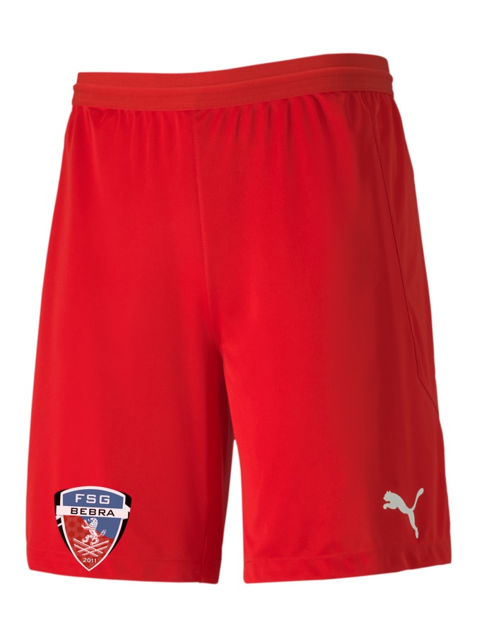 PUMA teamFINAL 21 Knit Shorts