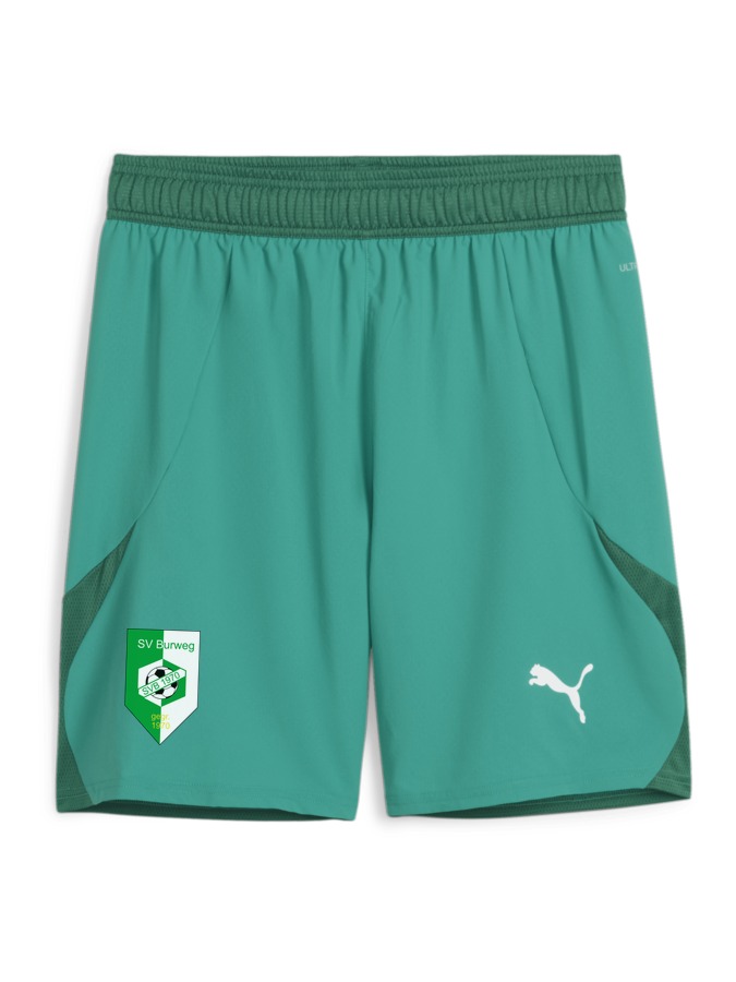 PUMA teamFINAL Shorts