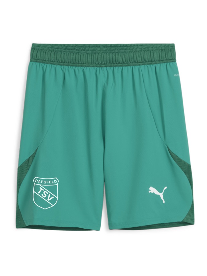 PUMA teamFINAL Shorts