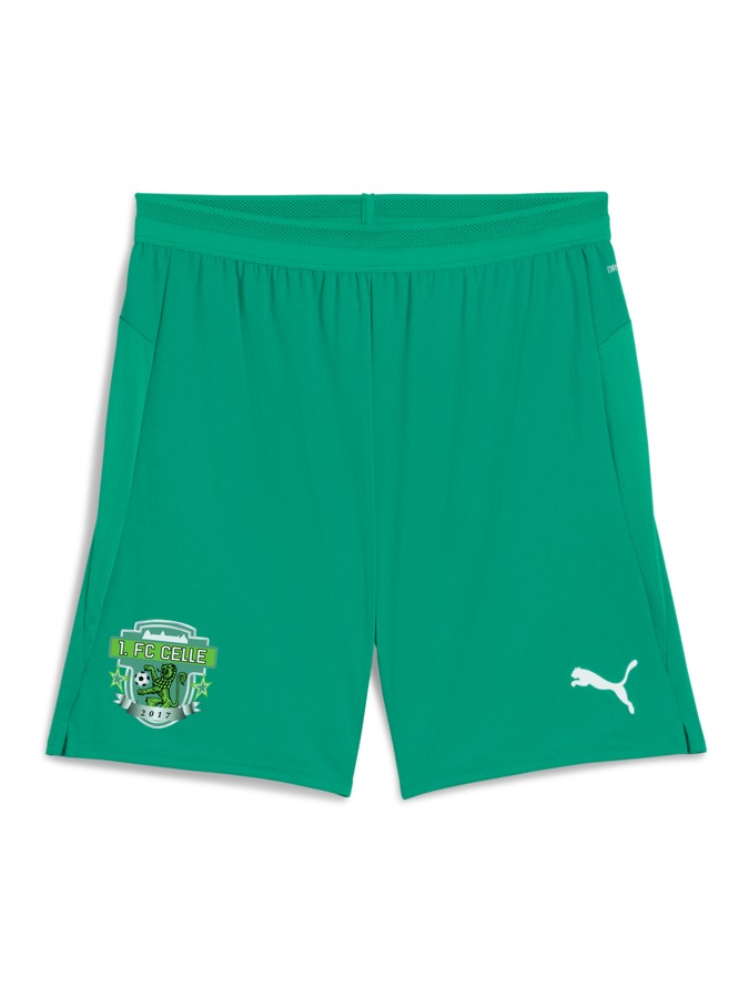PUMA teamCUP Shorts