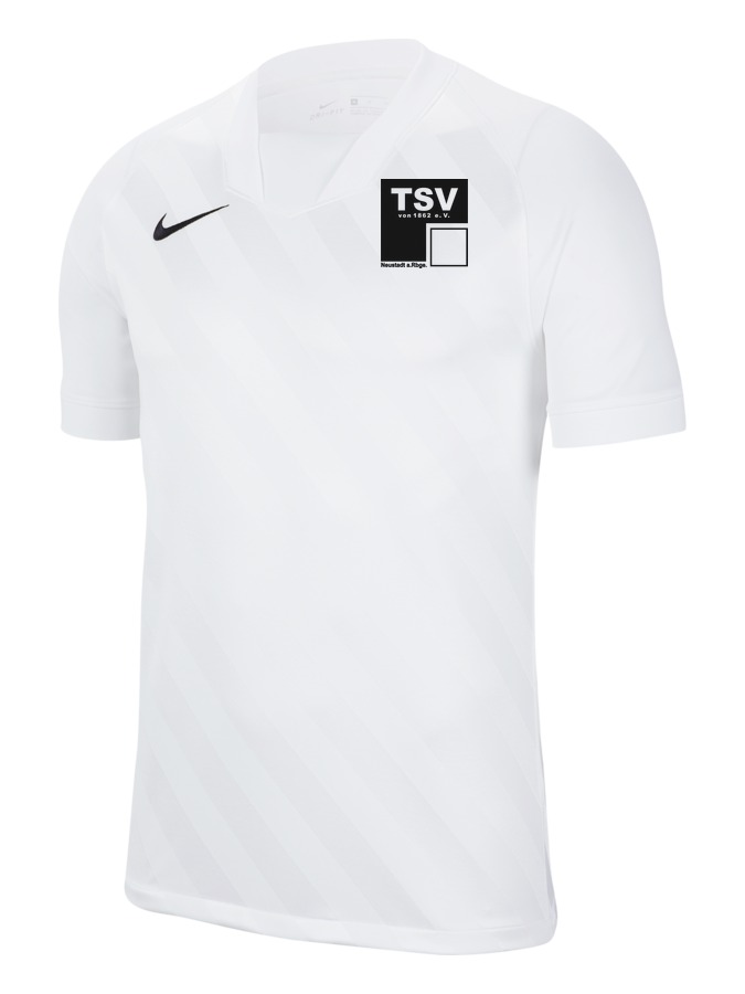 Nike Challenge 3 Trikot Kinder