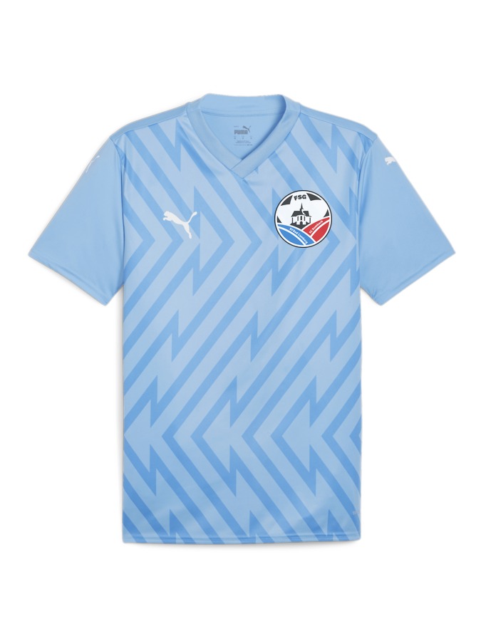 PUMA teamGLORY Trikot