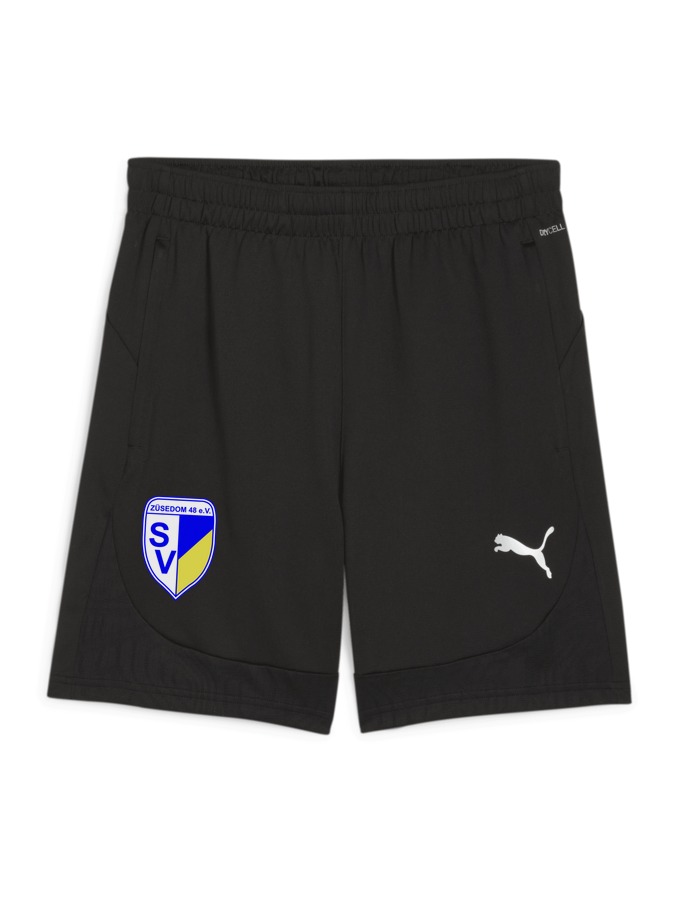 PUMA teamFINAL Training Shorts