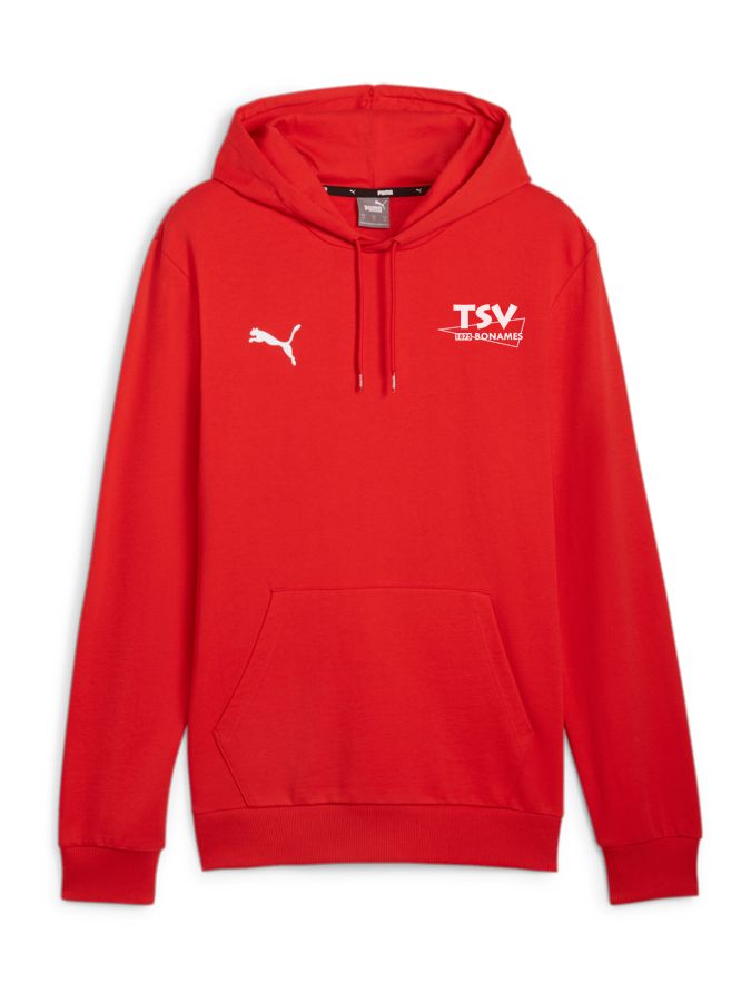 PUMA teamGOAL Casuals Hoody