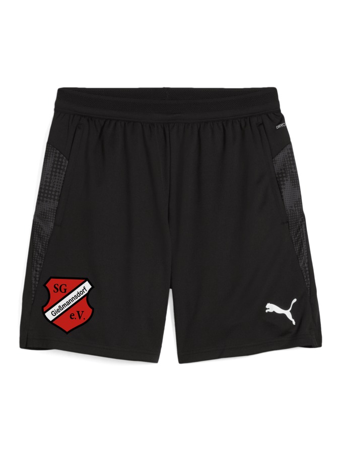 PUMA teamCUP Training Shorts