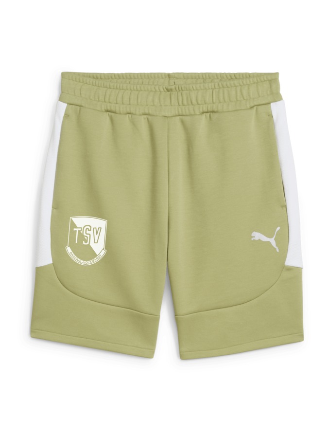 PUMA teamEVOSTRIPE Shorts