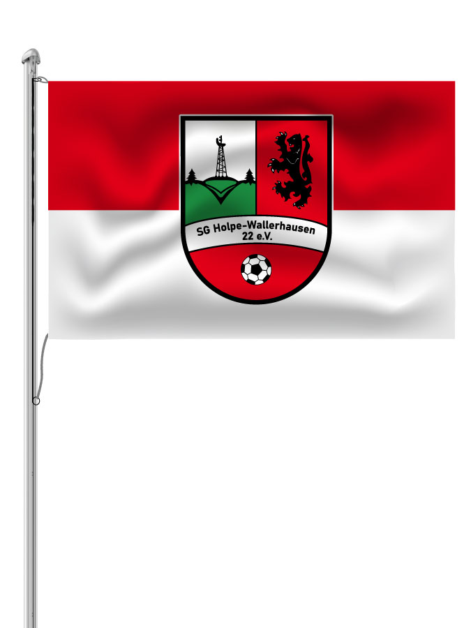 Hissfahne Logo