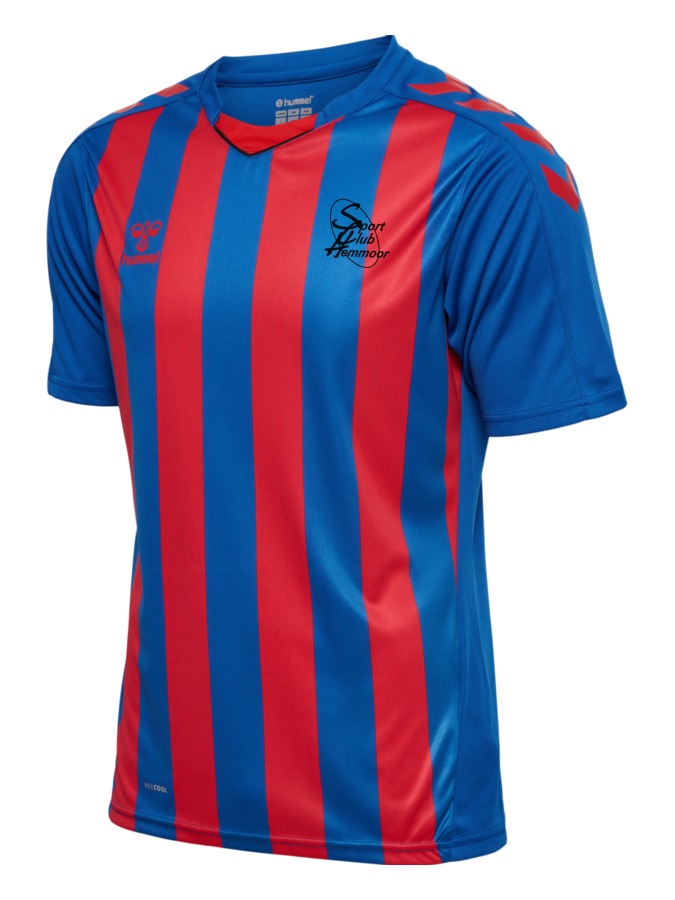 Hummel Core XK Striped Jersey Trikot