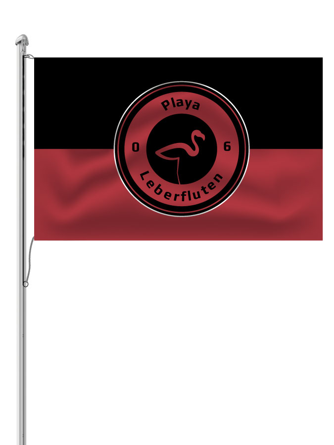Hissfahne Logo