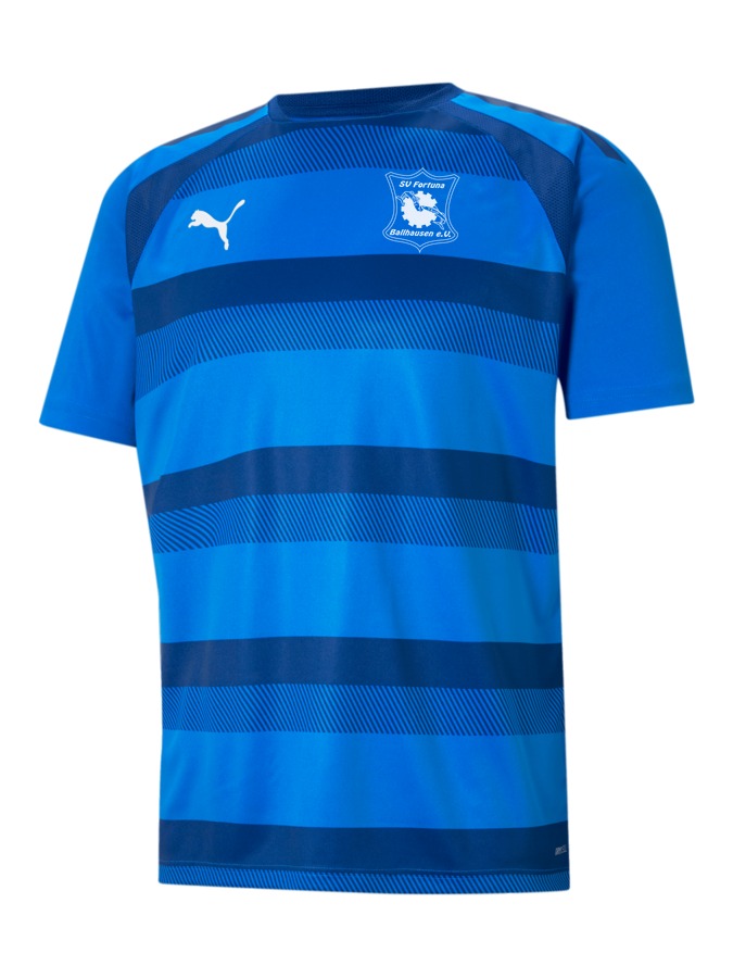 PUMA teamVISION Trikot