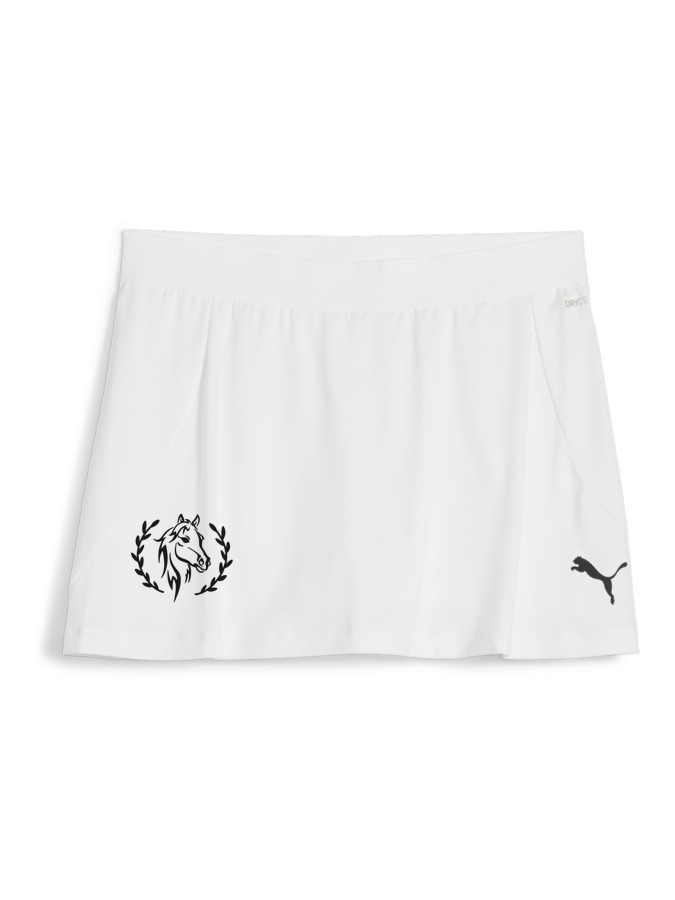 PUMA teamGOAL Rock