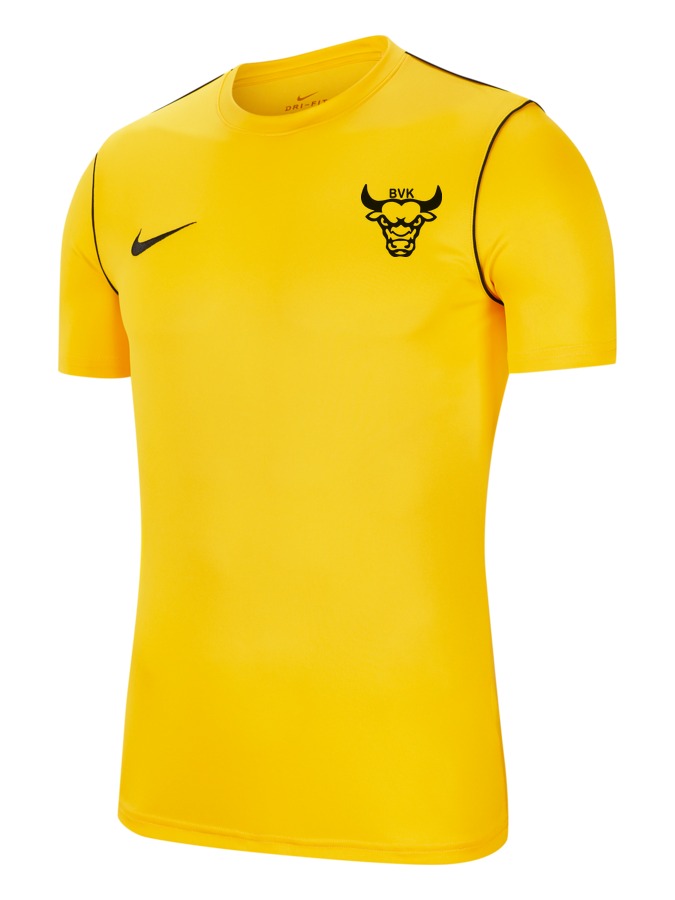 Nike Park 20 Shirt Kinder