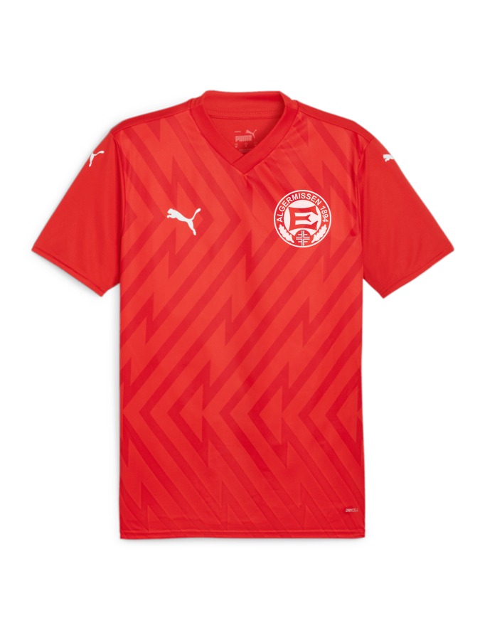 PUMA teamGLORY Trikot