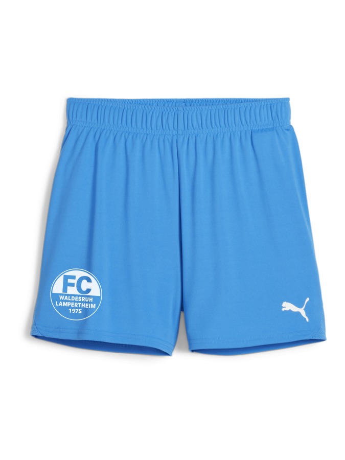 PUMA teamGOAL Handballshorts Damen