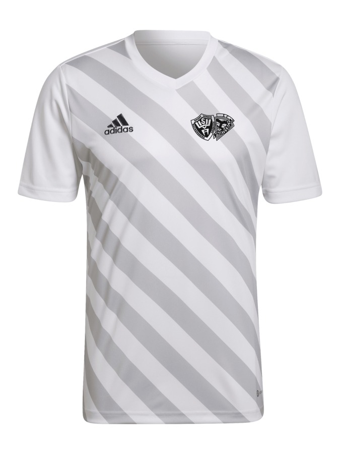 adidas Entrada 22 GFX Trikot