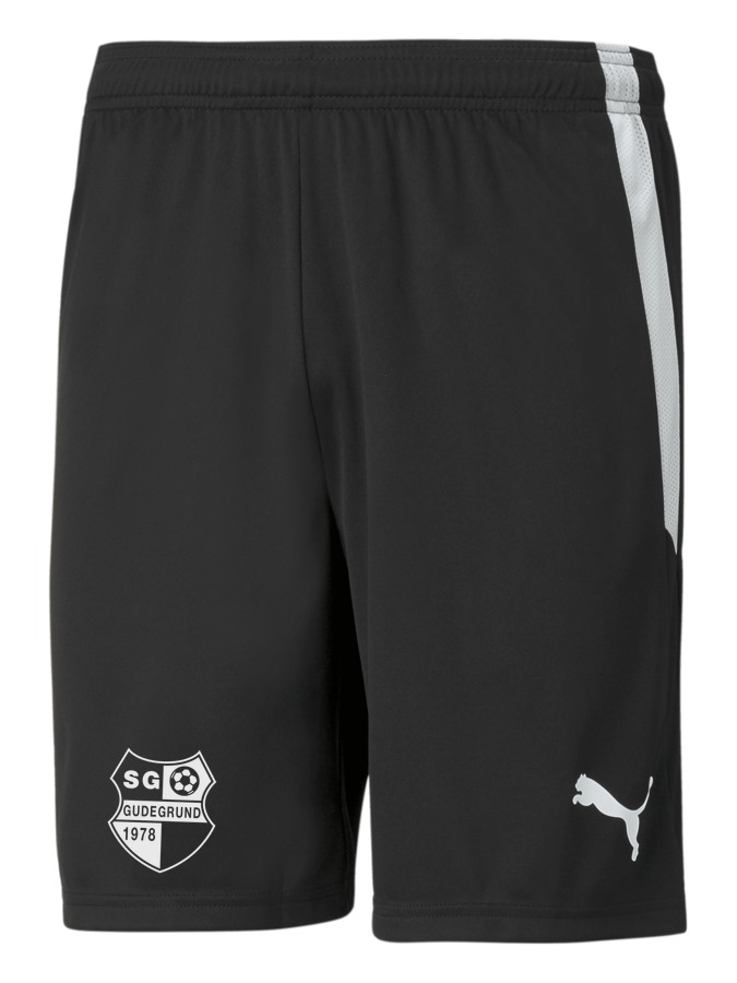 PUMA teamLIGA Shorts