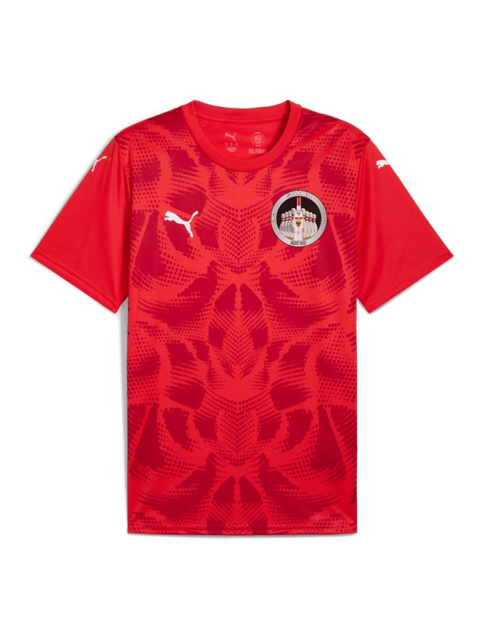 PUMA teamULTIMATE Trikot