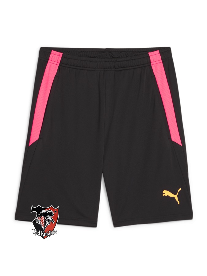 PUMA teamLIGA Training Shorts 2 (Offene Taschen)