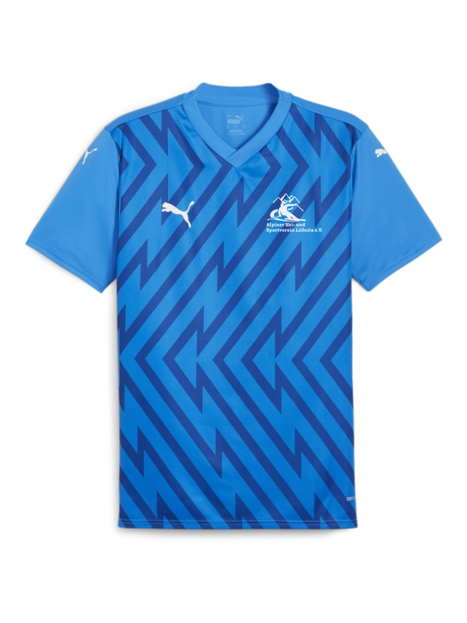 PUMA teamGLORY Trikot