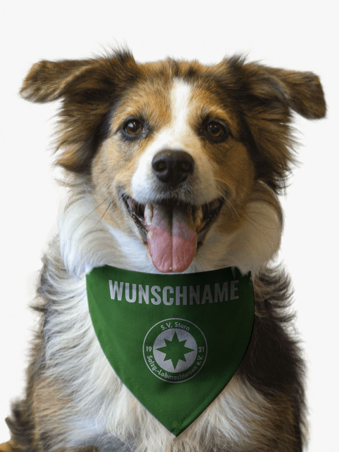 Hundehalstuch