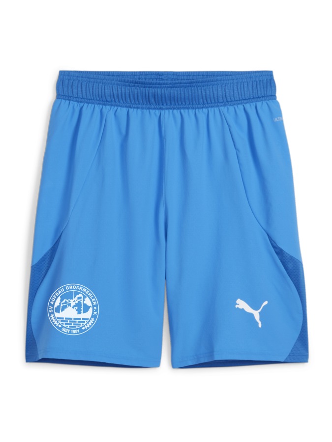 PUMA teamFINAL Shorts