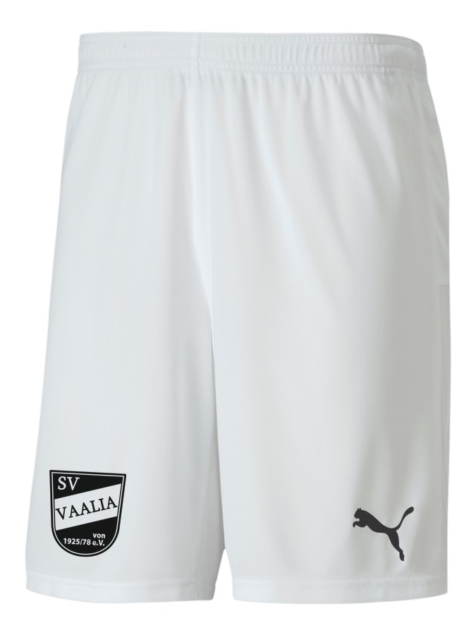 PUMA teamGOAL 23 Knit Shorts