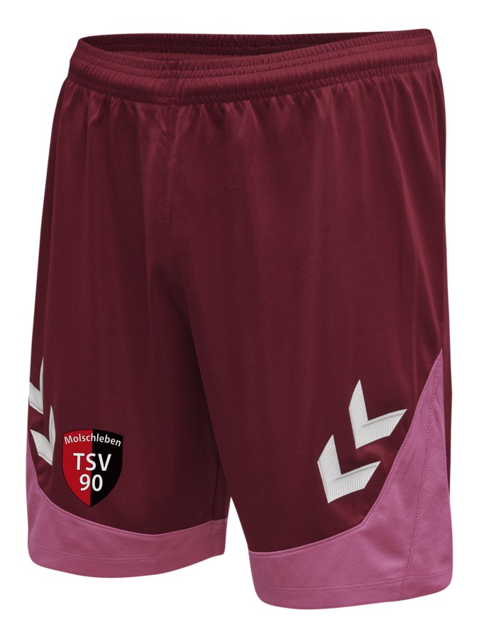 Hummel Lead Trainingsshorts