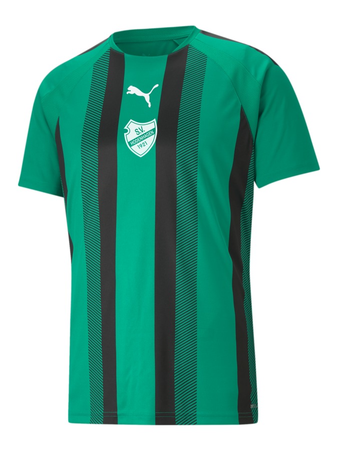 PUMA teamLIGA Striped Trikot