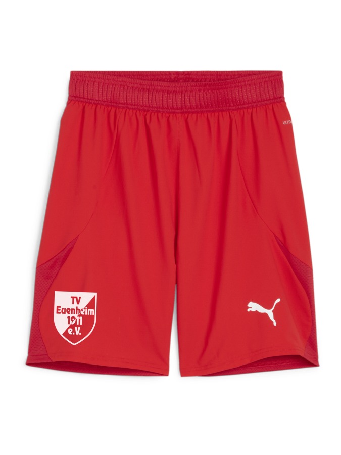 PUMA teamFINAL Shorts