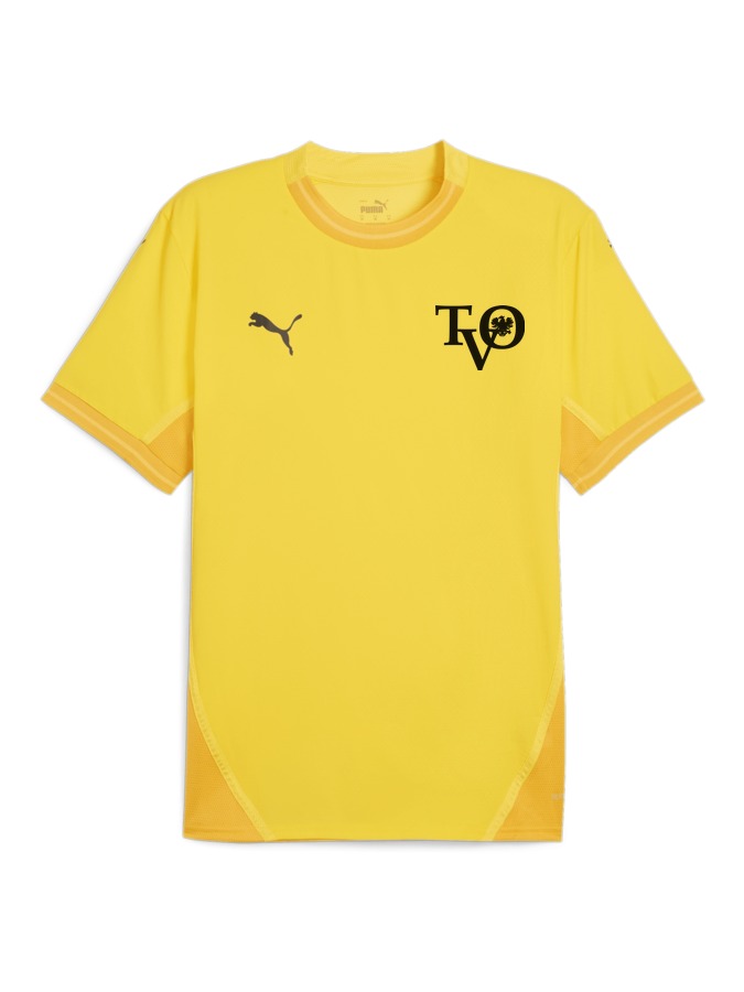 PUMA teamFINAL Trikot
