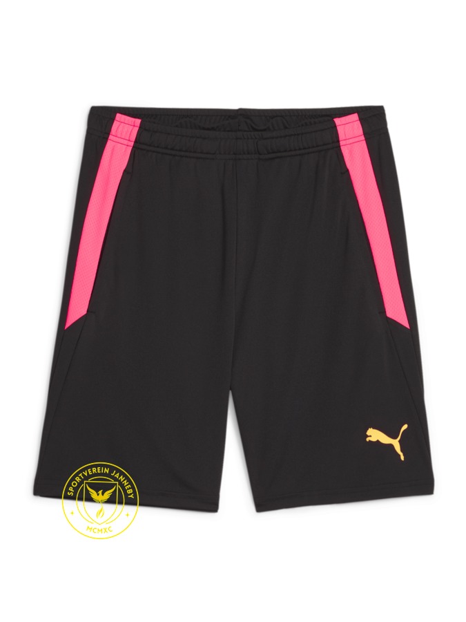 PUMA teamLIGA Training Shorts 2 (Offene Taschen)