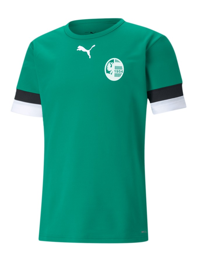 PUMA teamRISE Trikot