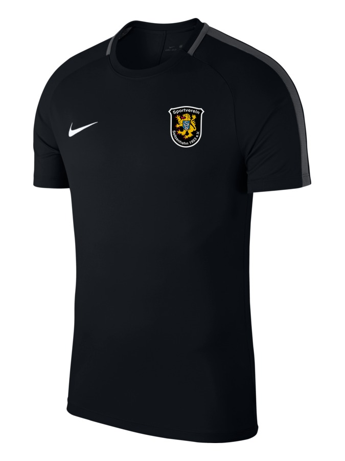 Nike Academy 18 Top