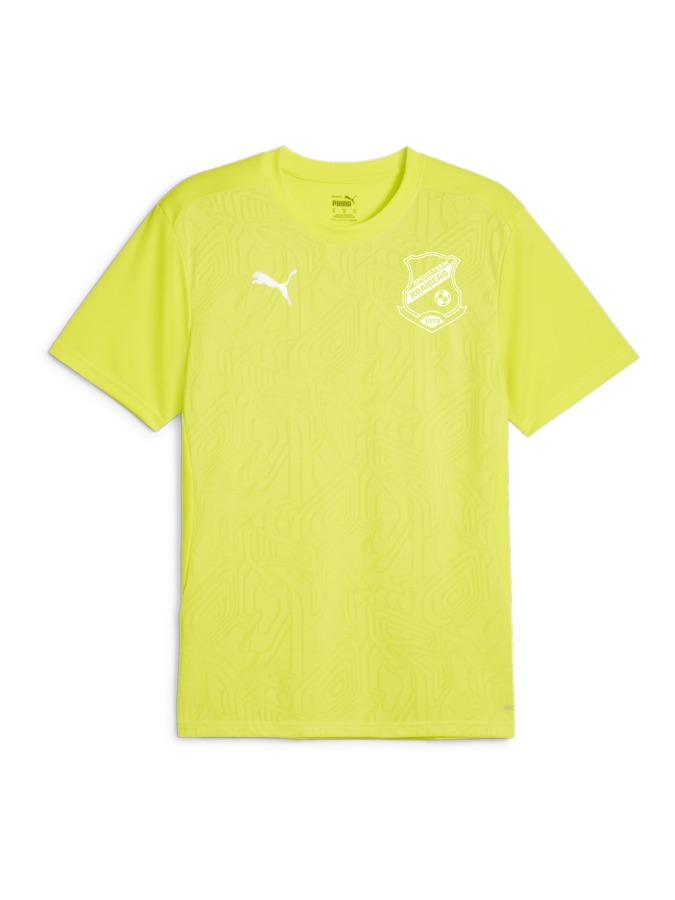 PUMA teamFINAL Trainingsshirt