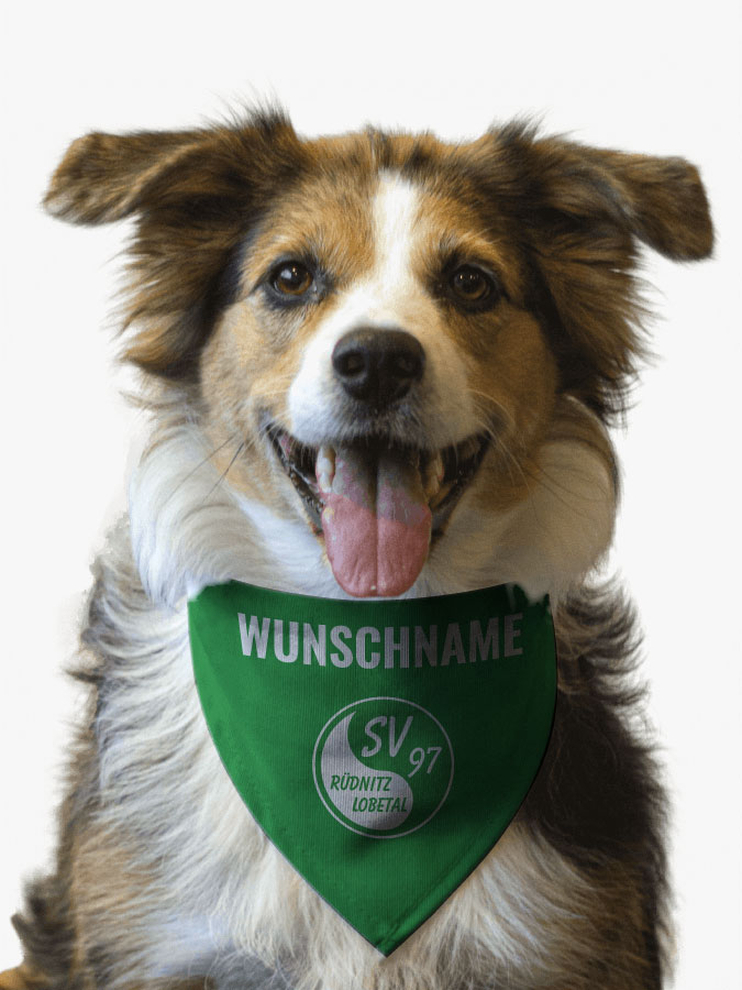 Hundehalstuch